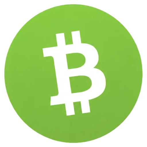 BCH 图标